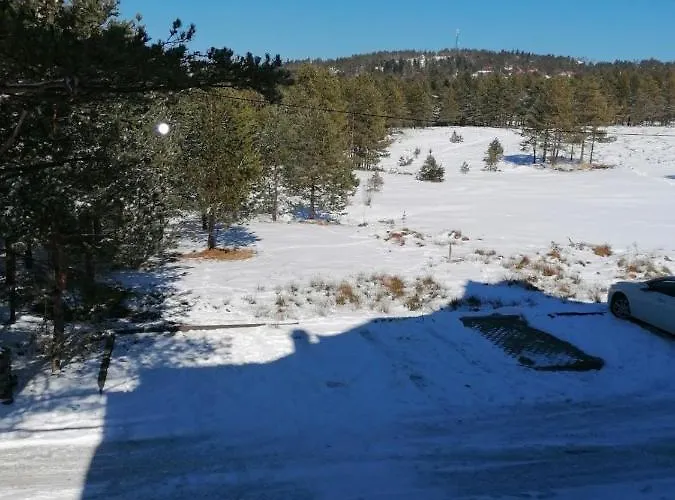 Milan Ex Smile 2 公寓 Divčibare